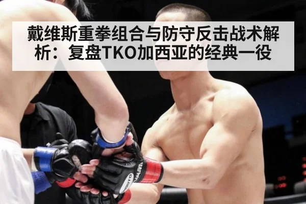 戴维斯重拳组合与防守反击战术解析:复盘TKO加西亚的经典一役